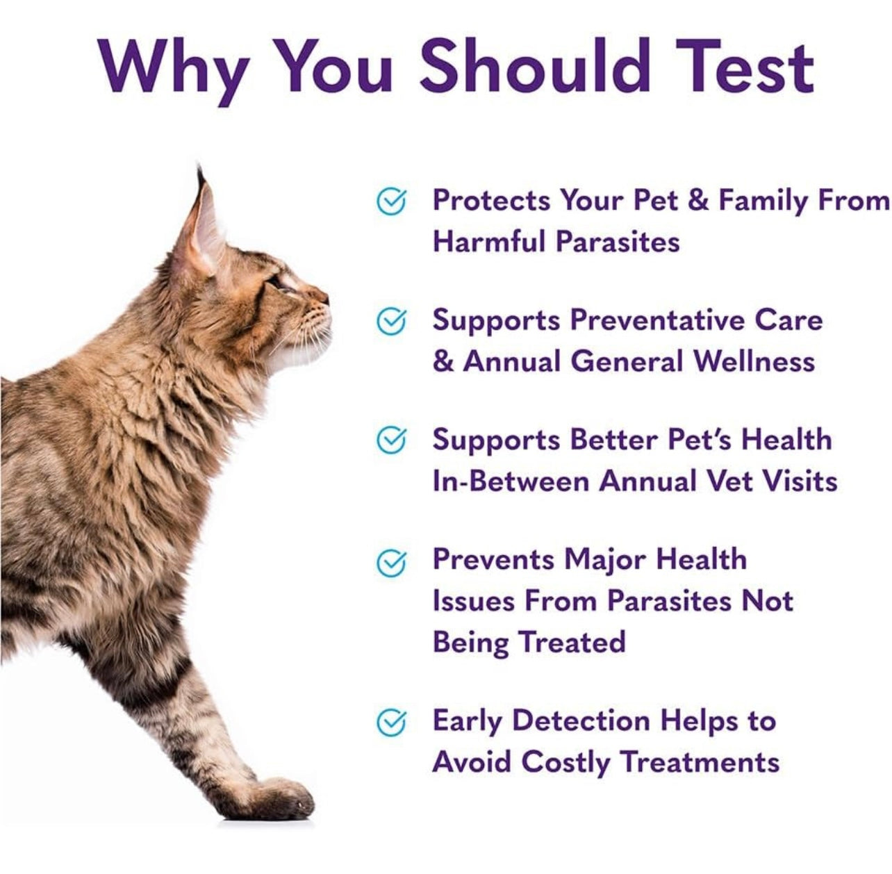 MySimplePetLab Cat Stool Test Kit | Fast and Accurate Cat Worms and Giardia Test | Mail-in Stool Sample Kit for Early Detection of Cat Worms and Giardia