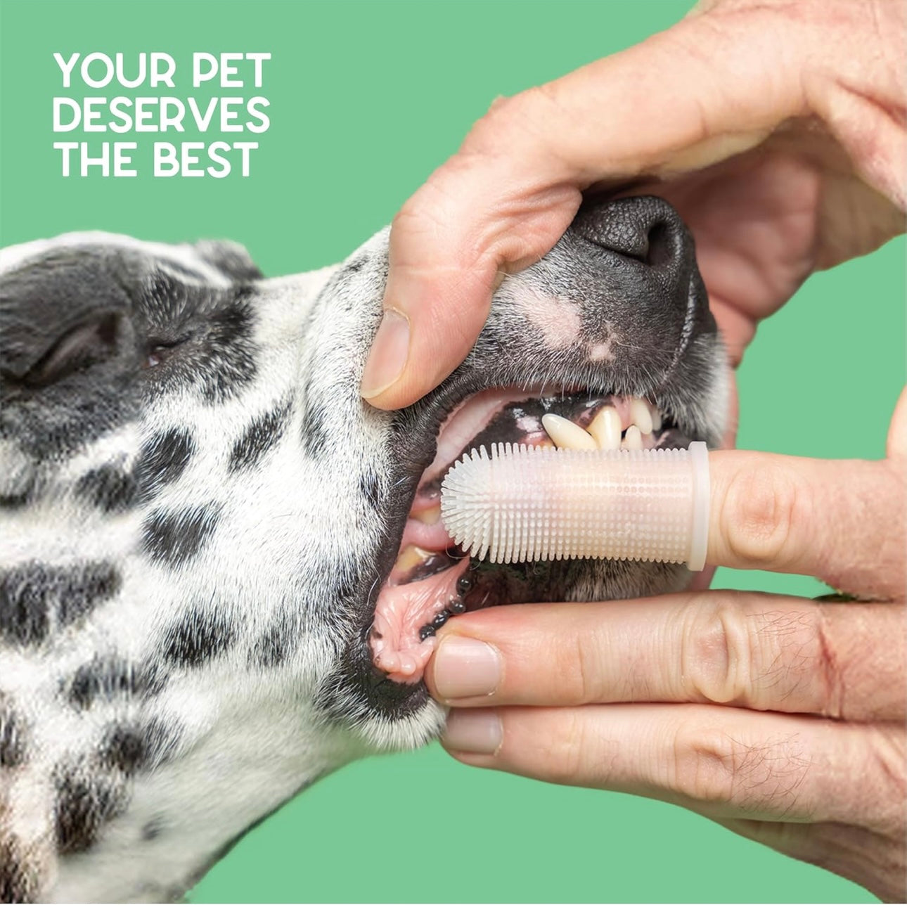 Barkle Dog Teeth Cleaning Gel | Best Dog Tooth Brushing Kit | Vet Reviewed to Eliminate Plaque, Tartar & Bad Breath | Toothpaste Replacement | Dog Breath Freshener | Free Finger Brush (Mint - 60 Days)