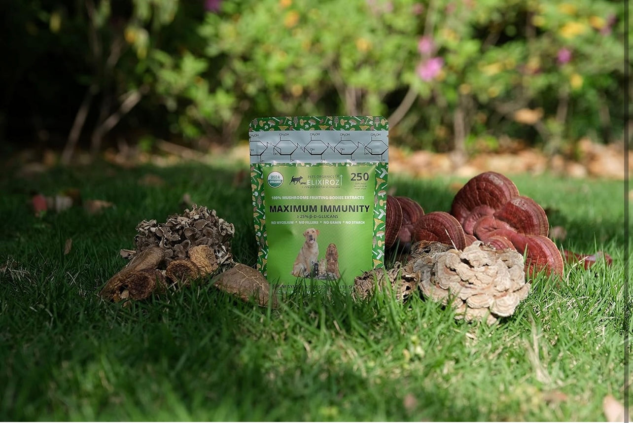 MAXIMUM IMMUNITY >25% β-glucan 100% Mushrooms Fruiting Body Extracts, Veterinarians formulation for Dogs & Cats Immune & Digestive Systems with Turkey tail & >35% β-glucan Reishi extracts.250 SERVINGS