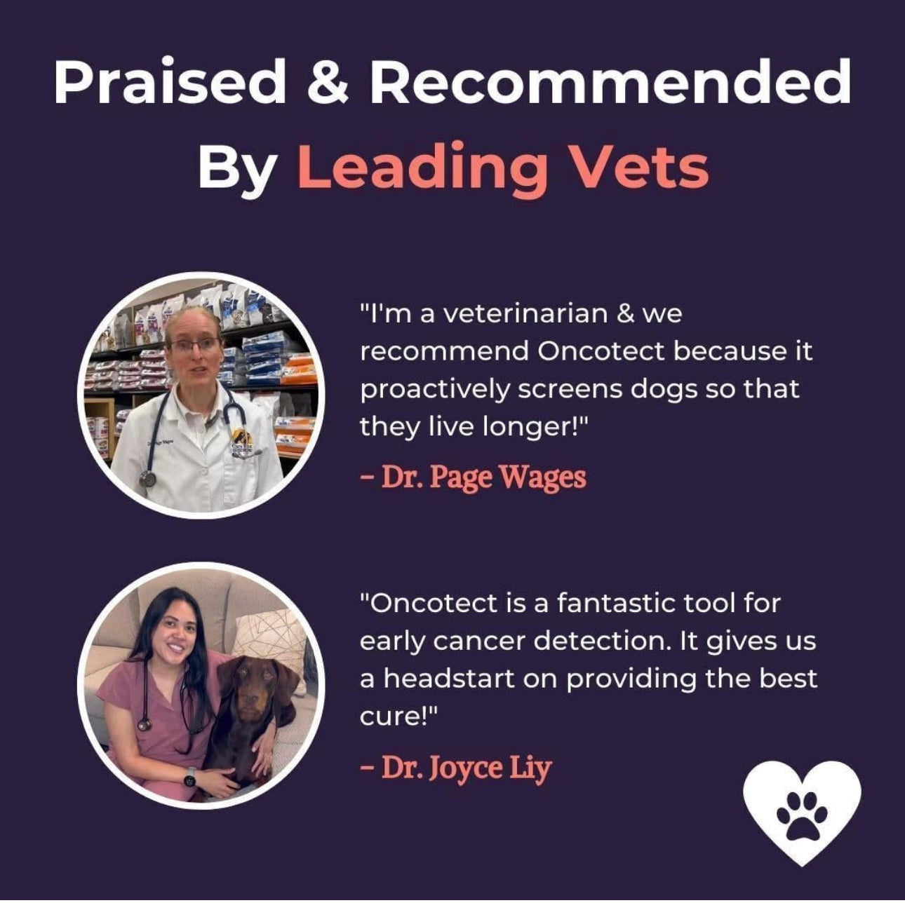 Essential Dog Cancer Screening Test Kit, Easy to Use at Home Cancer Detection, Affordable Non-Invasive Urine-Based Test, Works On All Dog Breeds and Ages