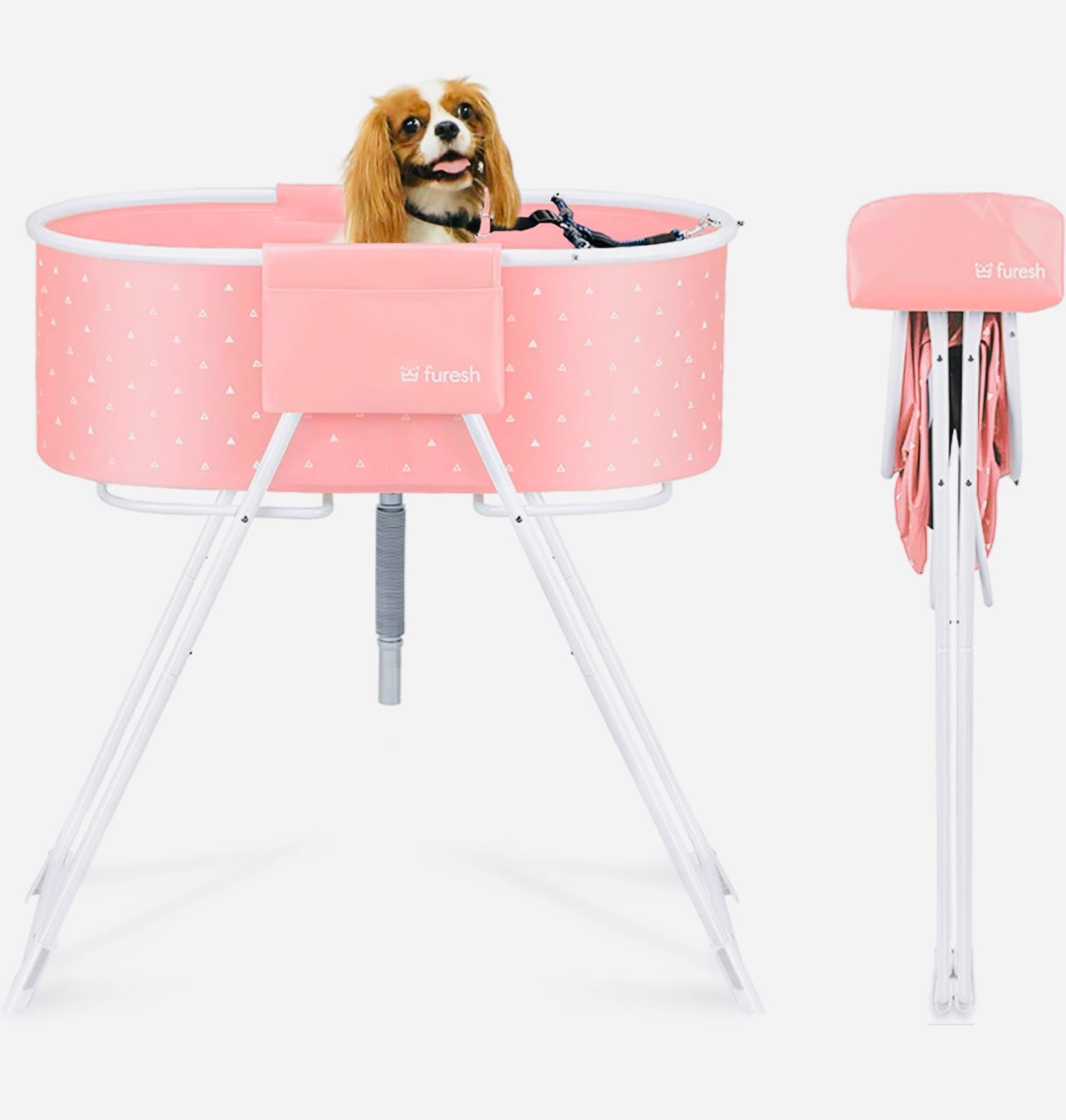 Insider Dog Bath Tub and Wash Station for Bathing Shower and Grooming, Elevated Foldable and Portable, Indoor and Outdoor, for Small and Medium Size Dogs, Cats and Other Pet