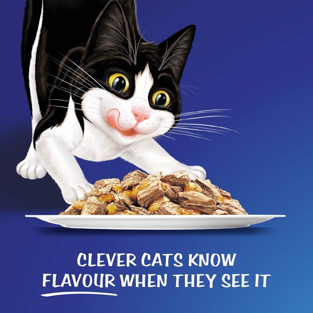 Felix As Good As It Looks - Kitten Menus, 60X85G