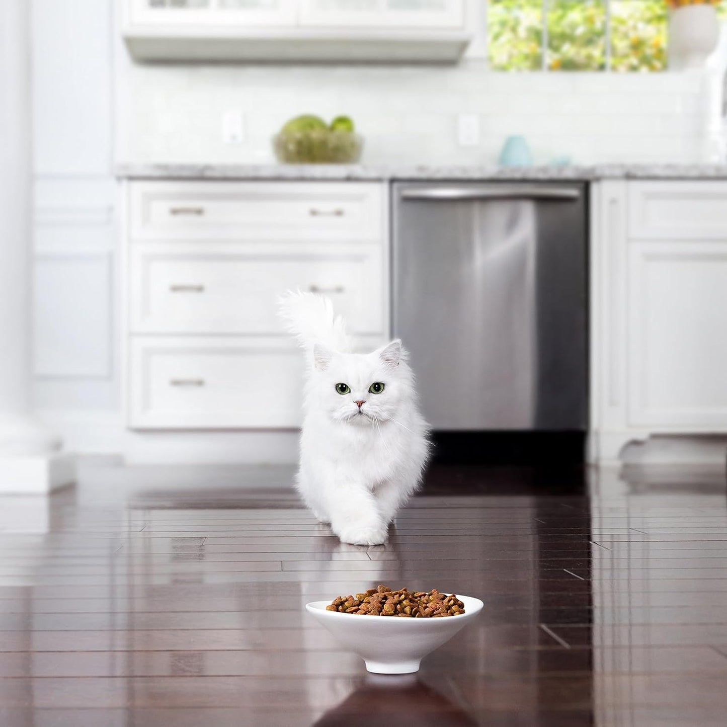 PETLIBRO Vacuum-Sealed Automatic Cat Feeders with camera, 8L/34Cups Automatic Dog Feeder with 5G Wi-Fi, Airtight Storage, Space Pet Feeder with 187mm Large Food Tray for Cat & Dog