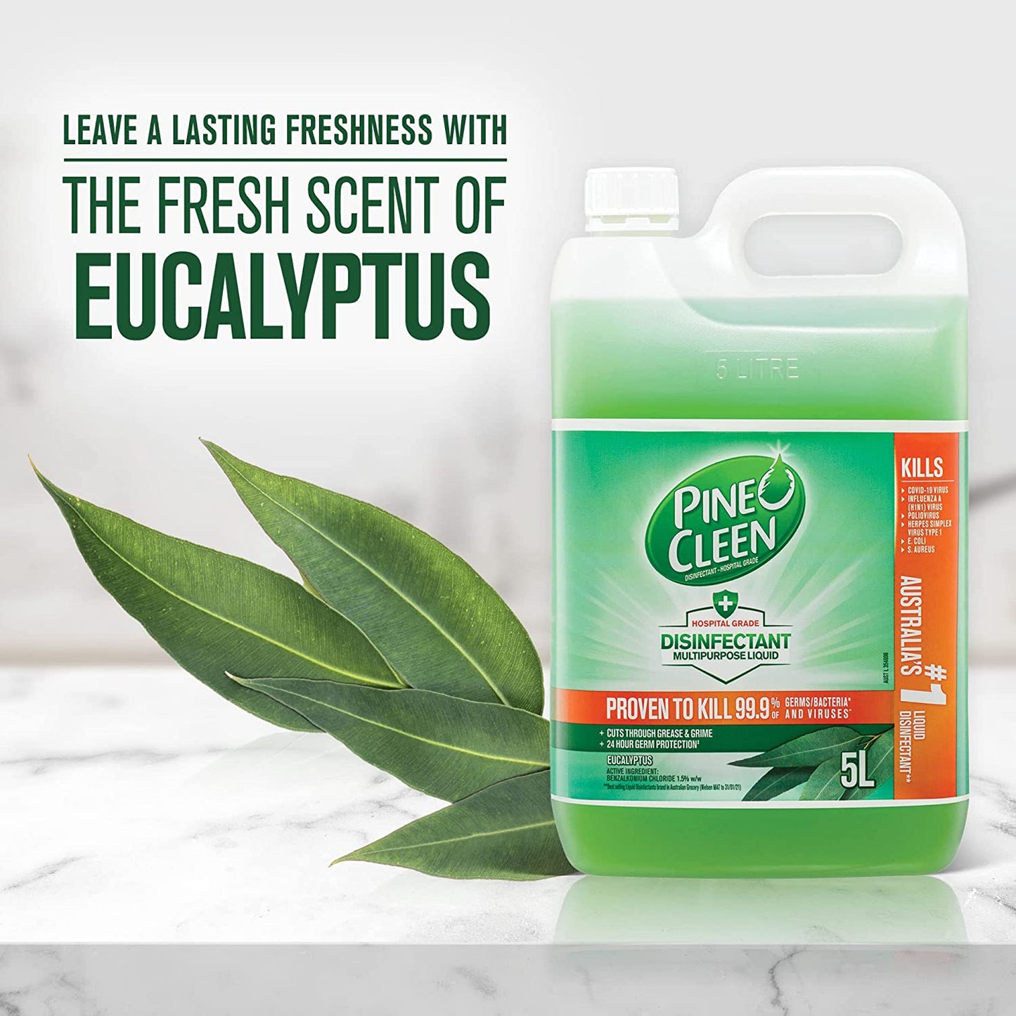 Pine O Cleen Disinfectant Multipurpose Liquid Eucalyptus 5L