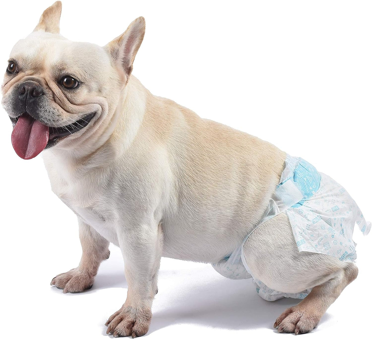 Wags & Wiggles Female Dog Diapers | Doggie Diapers for Female Dogs | Small Dog Diapers, 15"-19" Waist - 12 Pack | Disposable Dog Diapers for Female Dogs