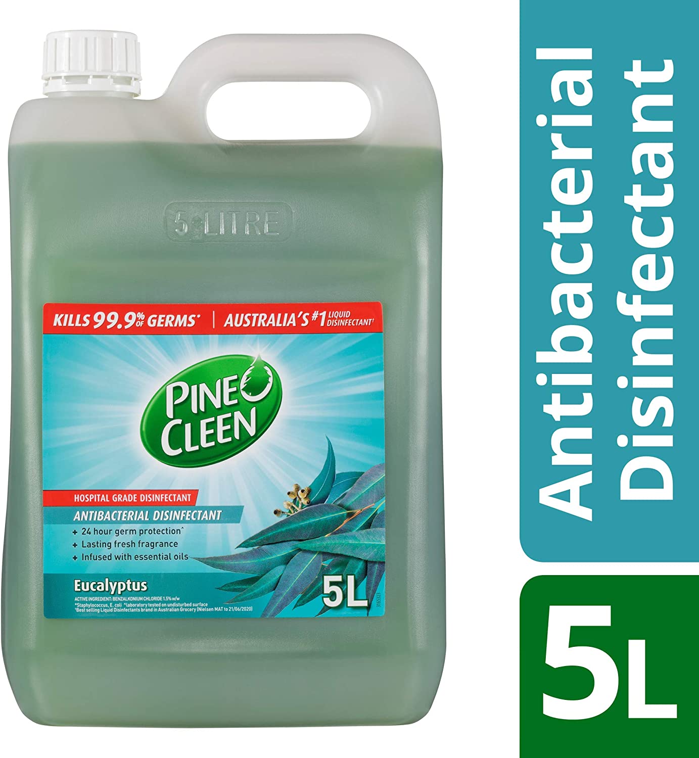 Pine O Cleen Disinfectant Multipurpose Liquid Eucalyptus 5L