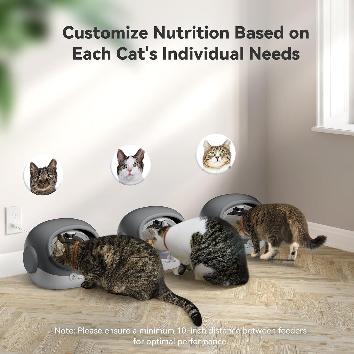 Automatic Cat Feeder, RFID Cat Food Dispenser with Collar Sensor, Timed Auto Pet Feeder for Multi-Cat Households, 4 Feeding Modes, Suitable for Both Wet and Dry Food Gray