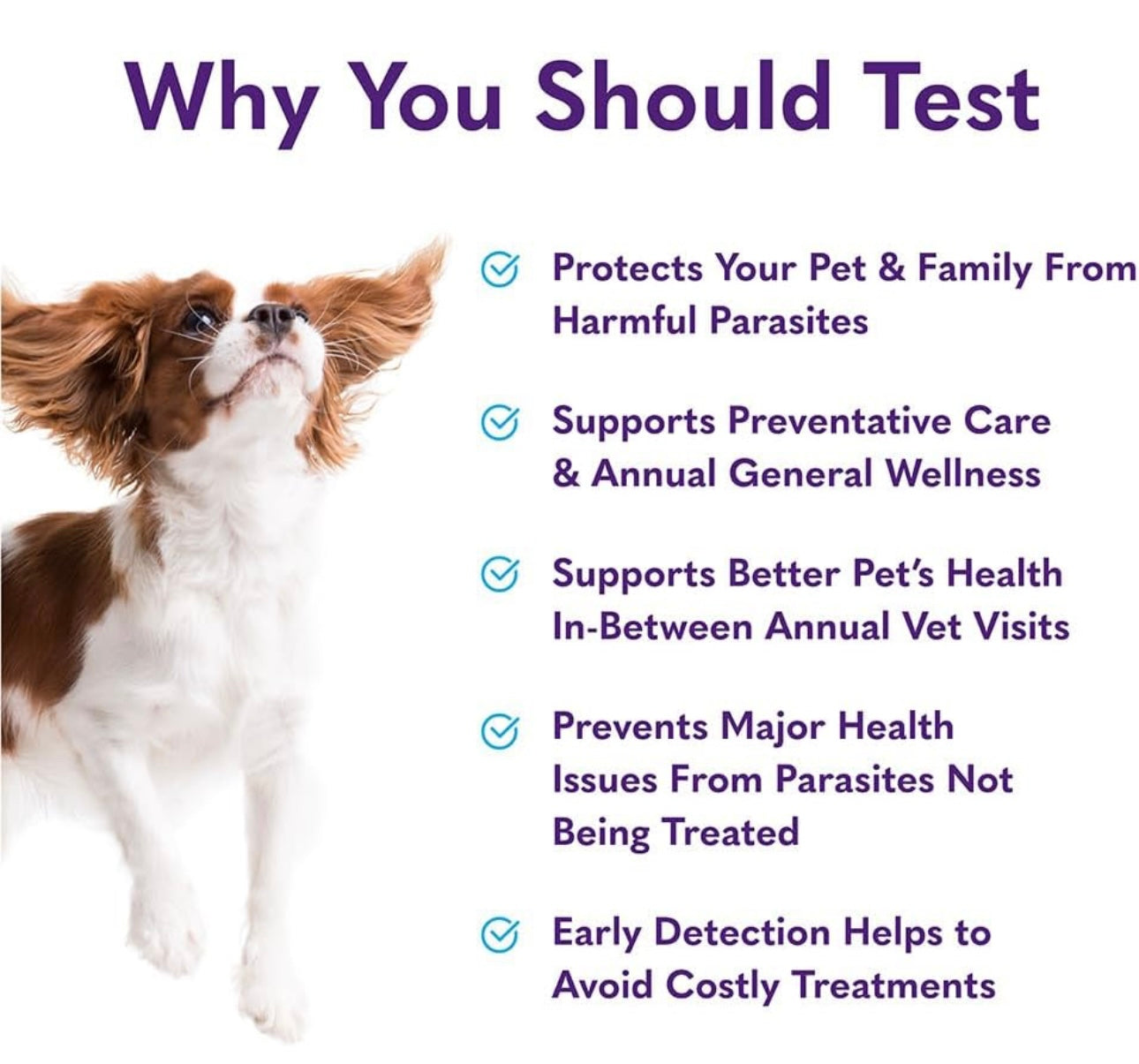 MySimplePetLab Dog Stool Test & Giardia Test Kit for Dogs, Vet Approved, Non-Invasive, Detects Worms & Giardia, Mail-In Kit, Fast Results, Easy At-Home Use for Diarrhea, Fecal Checks, & Boarding Needs