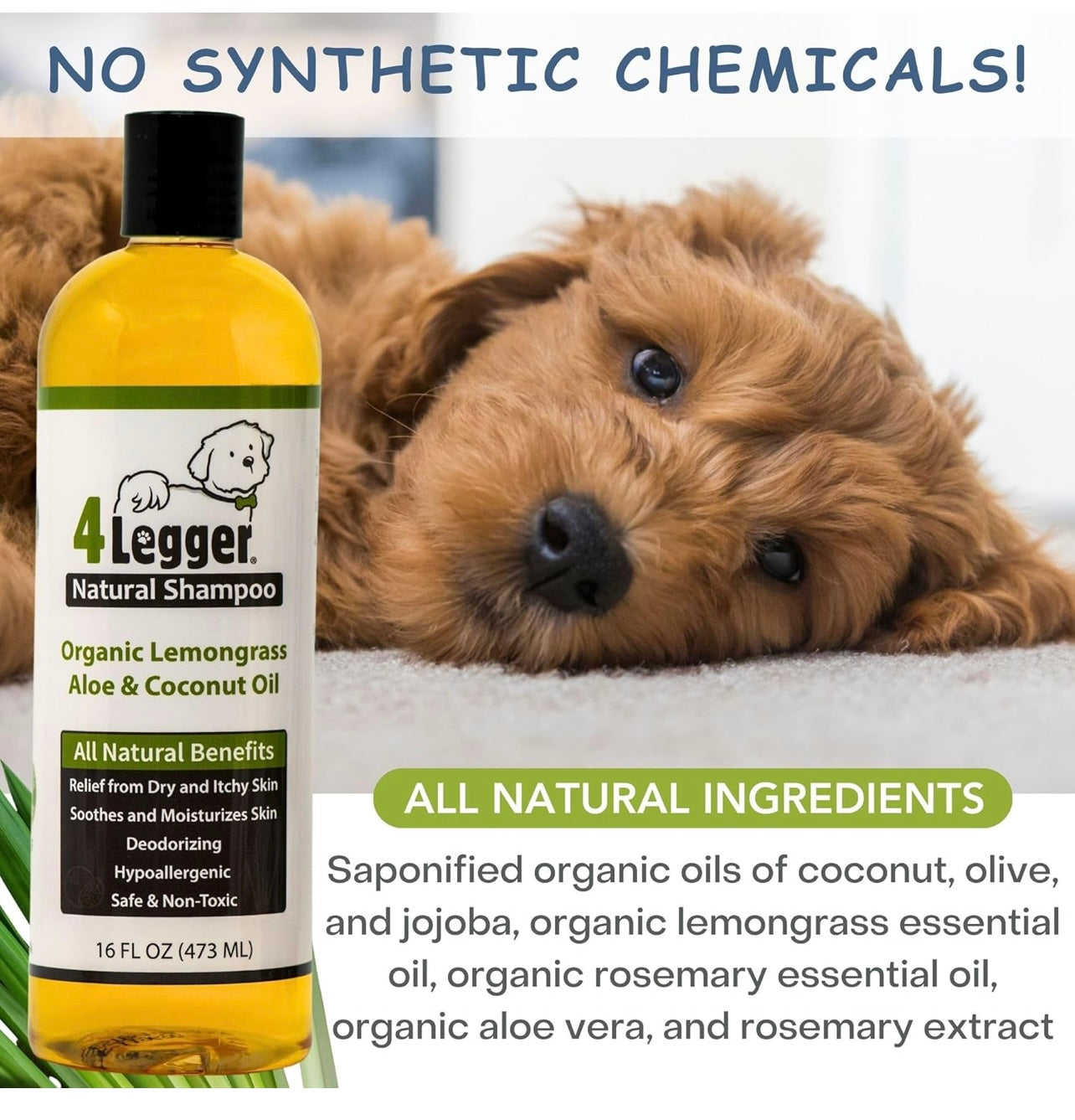 4-Legger Certified Organic Dog Shampoo - All Natural and Hypoallergenic with Aloe and Lemongrass, Soothing for Normal, Dry, Itchy or Allergy Sensitive Skin - Biodegradable - Made in USA - 16 oz