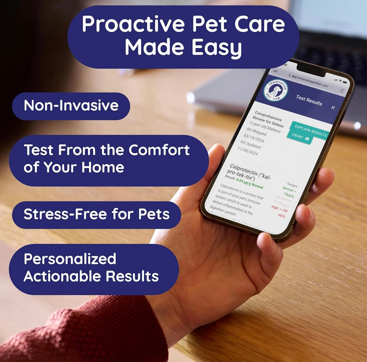 Basic Gut Health Test Kit for Dogs & Cats - at-Home Stool Test for Underlying Digestion & Immune Symptoms Like Diarrhea, Mood, Itchy Skin, GI Discomfort - Easy Non-Invasive Testing