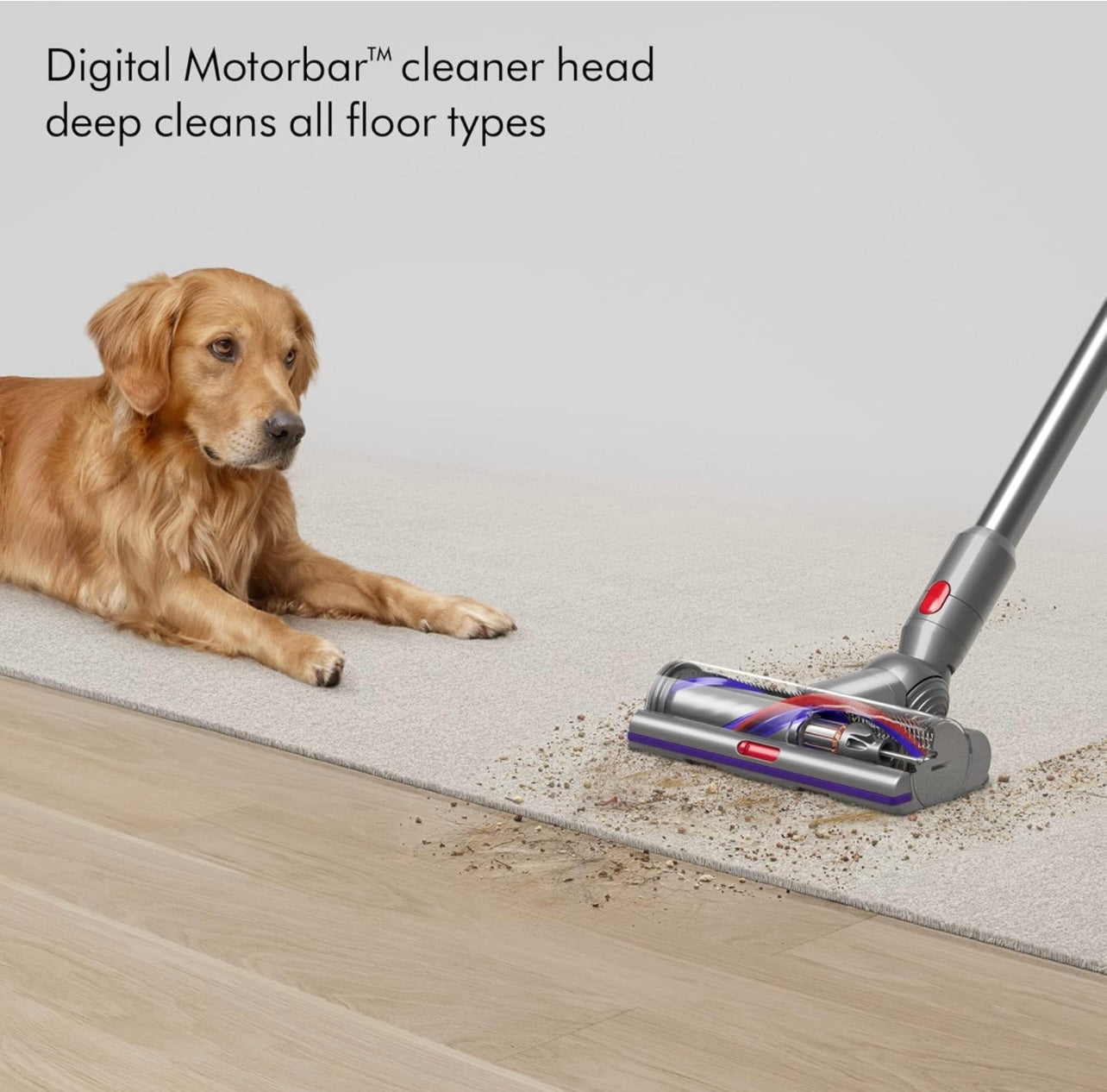 Dyson V15s Detect™ Submarine Absolute Wet and Dry Vacuum Cleaner