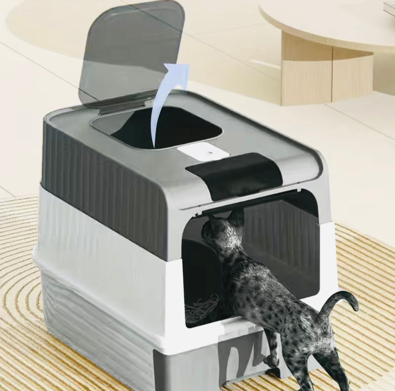 Cat litter drawer with foldable cover and plastic scoop