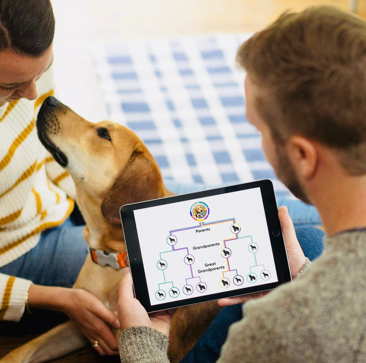 Embark Dog DNA Test Kit | Breed & Genetic Ancestry Discovery | at-Home Cheek Swab