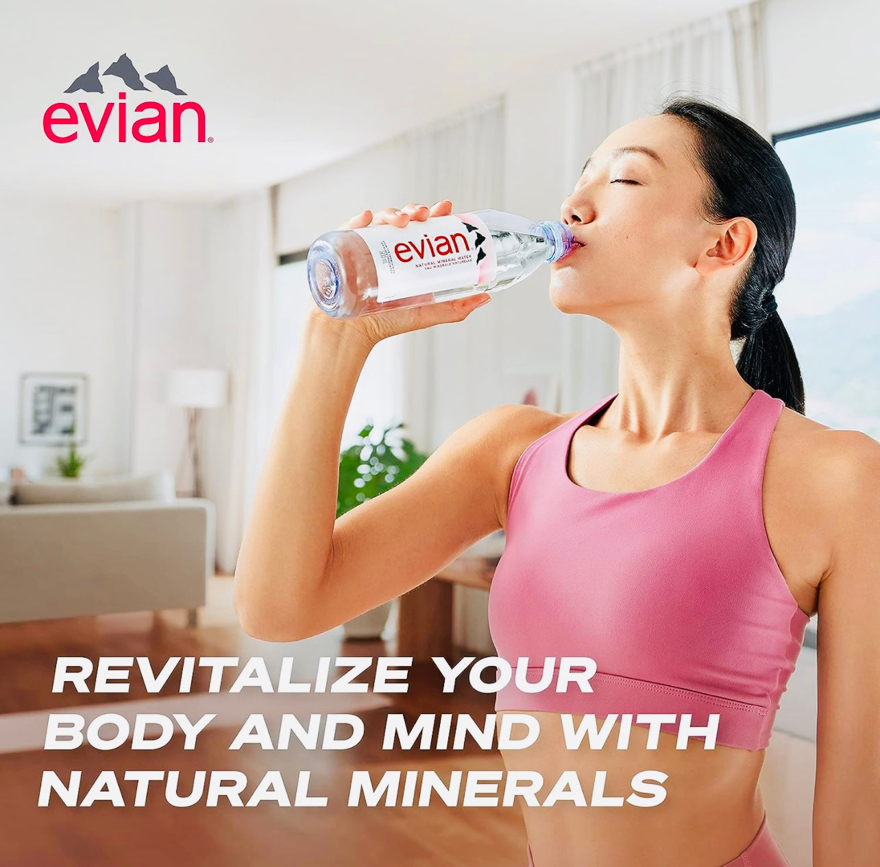 Evian Natural Mineral Water, 12 x 1L