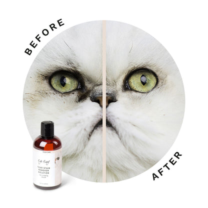 Eye Envy Tear Stain Remover Solution For Cats 4oz-made in USA