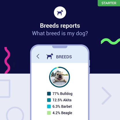 Koko DNA Test for Dogs Starter - (Breeds and Traits Reports) - Updates at no Cost