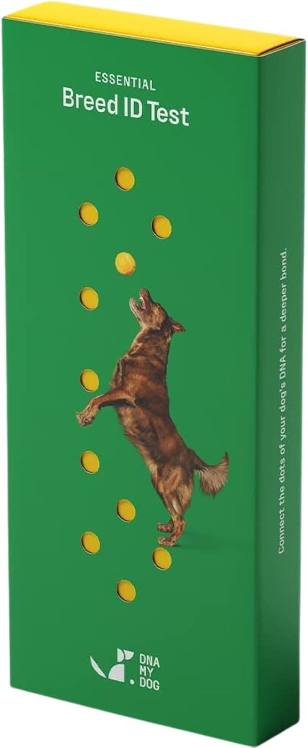 DNA MY DOG – Trusted & Affordable Breed Identification Test | 350+ Breeds Identified w/ 99%+ Accuracy | Complete Breed Analysis, Personality and Behavior Insights | Easy Cheek Swab, Results in 2 Weeks