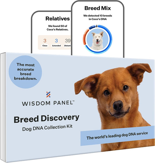 Discovery Dog DNA Kit: Most Accurate Dog Breed Identification, Test for 350+ Breeds, MDR1 Health Test, Ancestry, Relatives