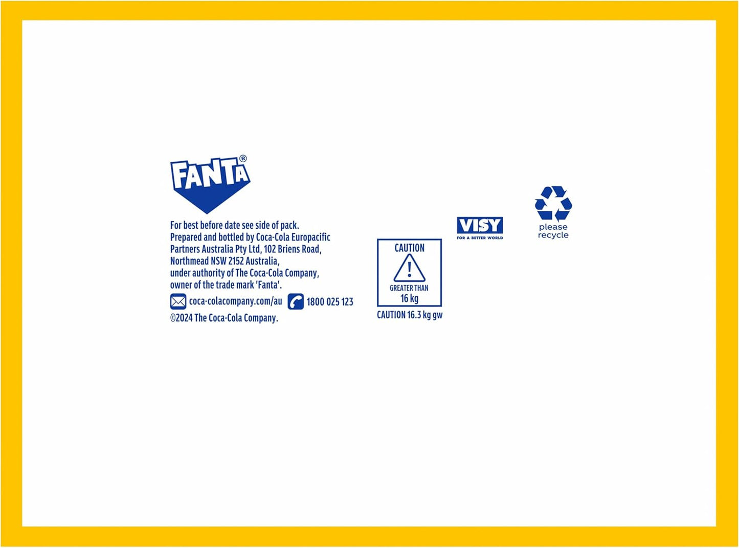 Fanta Lemon Soft Drink 12 x 1.25L Bottle