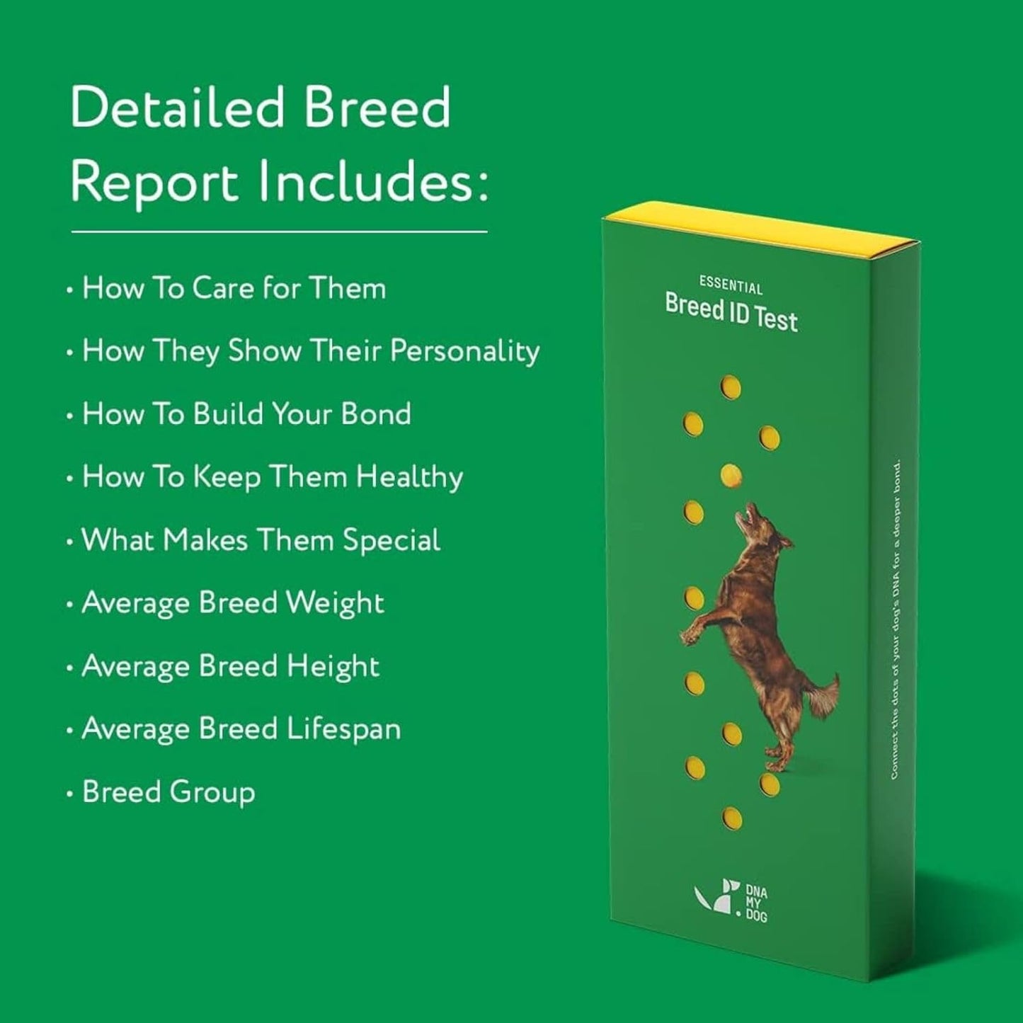 DNA MY DOG – Trusted & Affordable Breed Identification Test | 350+ Breeds Identified w/ 99%+ Accuracy | Complete Breed Analysis, Personality and Behavior Insights | Easy Cheek Swab, Results in 2 Weeks
