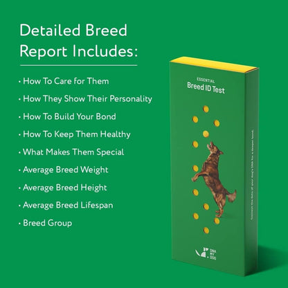 DNA MY DOG – Trusted & Affordable Breed Identification Test | 350+ Breeds Identified w/ 99%+ Accuracy | Complete Breed Analysis, Personality and Behavior Insights | Easy Cheek Swab, Results in 2 Weeks