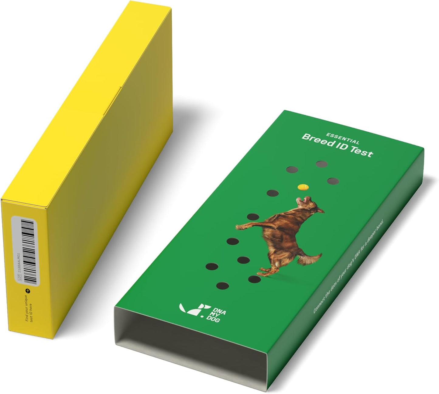 DNA MY DOG – Trusted & Affordable Breed Identification Test | 350+ Breeds Identified w/ 99%+ Accuracy | Complete Breed Analysis, Personality and Behavior Insights | Easy Cheek Swab, Results in 2 Weeks