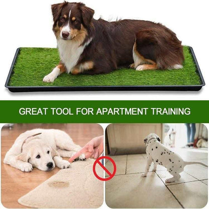 Extra Large Dog Grass Pee Pad with Tray Large with 2 Packs Dog Grass Pee Pads for Replacement