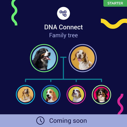 Koko DNA Test for Dogs Starter - (Breeds and Traits Reports) - Updates at no Cost