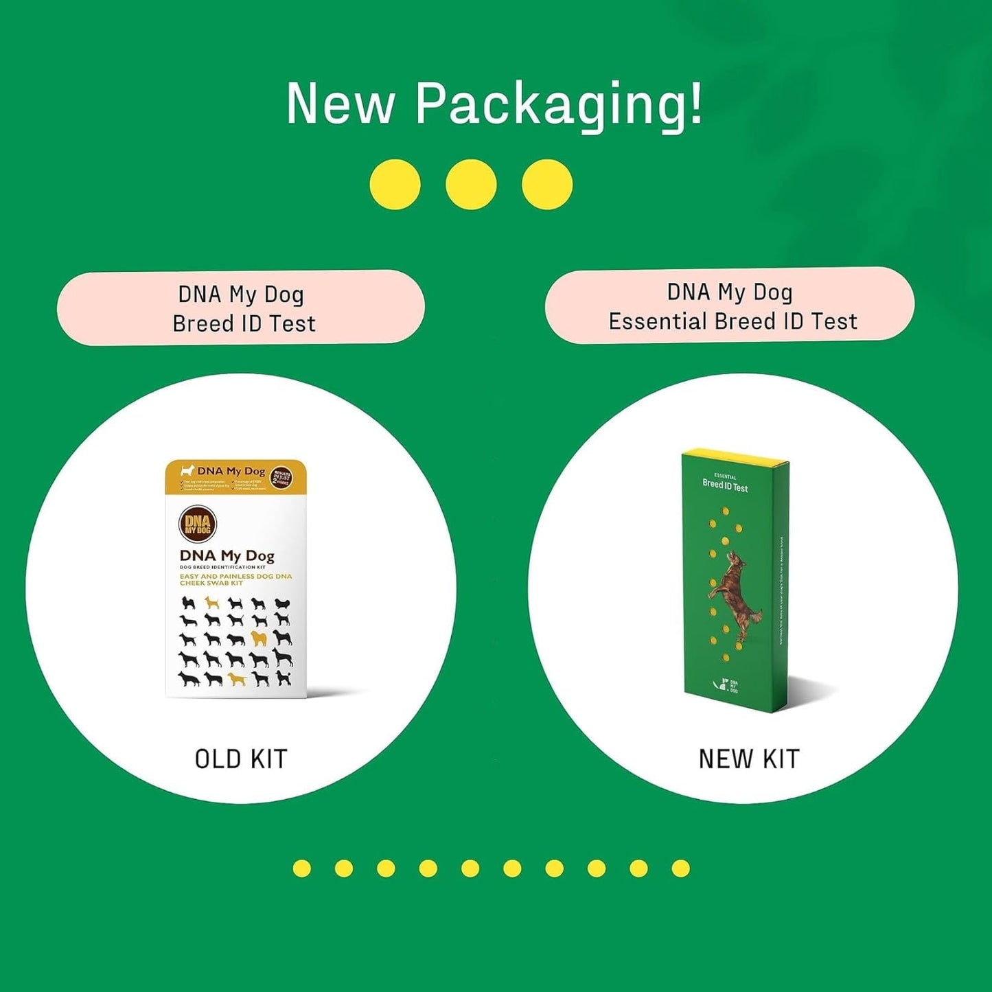 DNA MY DOG – Trusted & Affordable Breed Identification Test | 350+ Breeds Identified w/ 99%+ Accuracy | Complete Breed Analysis, Personality and Behavior Insights | Easy Cheek Swab, Results in 2 Weeks