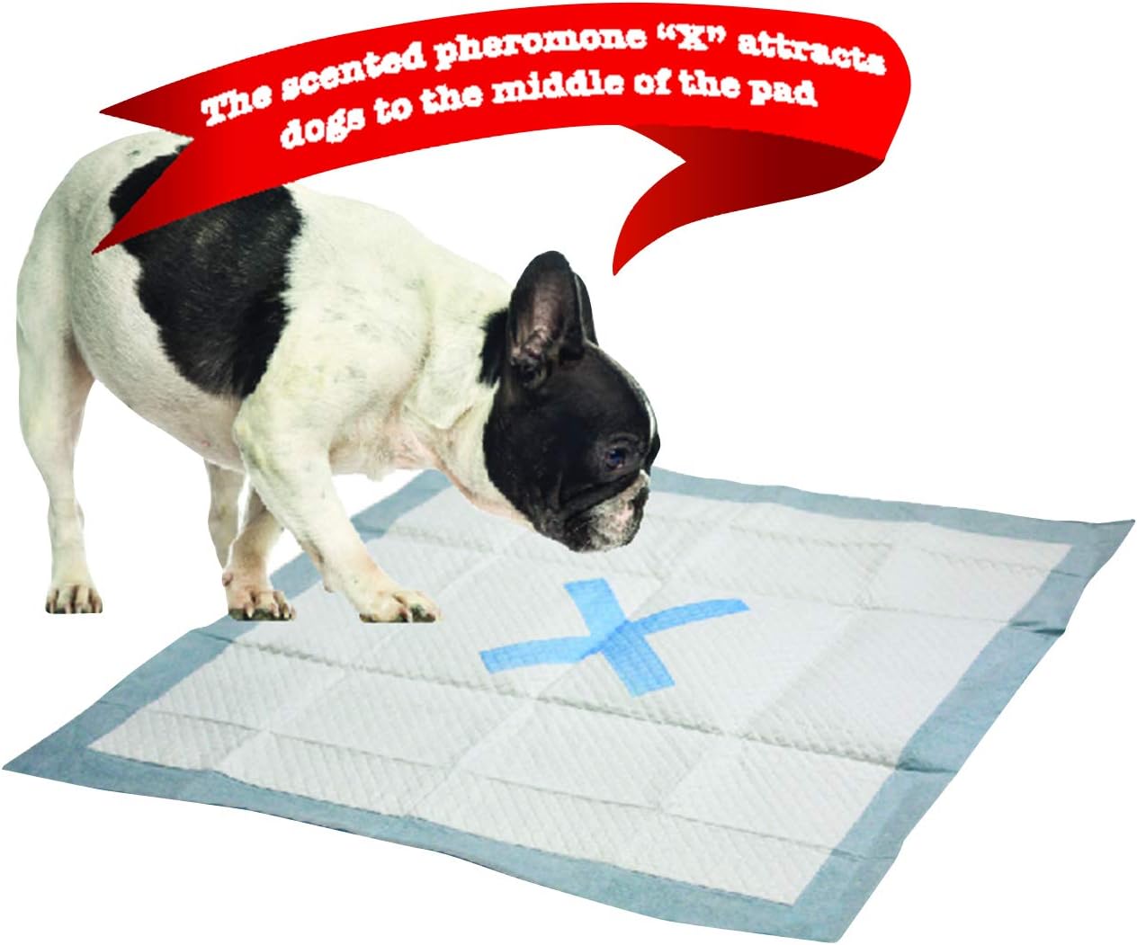 The Spot Extra Absorbent Pee Pads | Puppy Pads | Puppy Pads with Adhesive | Training Pads | Dog Pads | Dog Pee Pads | Dog Potty Pads | Adhesive Strips | 22"X22" | 100 CT,White