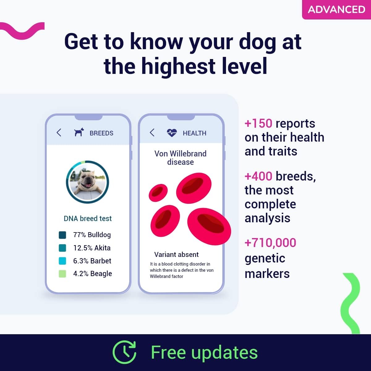 Koko DNA Test for Dogs Advanced - (+150 Reports of Breeds, Health and Traits) - Updates at no Cost