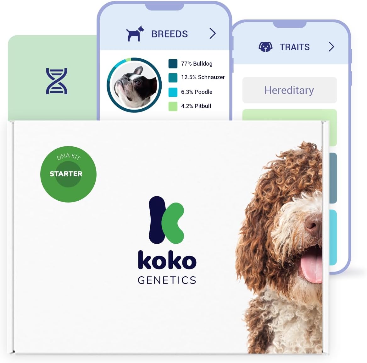 Koko DNA Test for Dogs Starter - (Breeds and Traits Reports) - Updates at no Cost