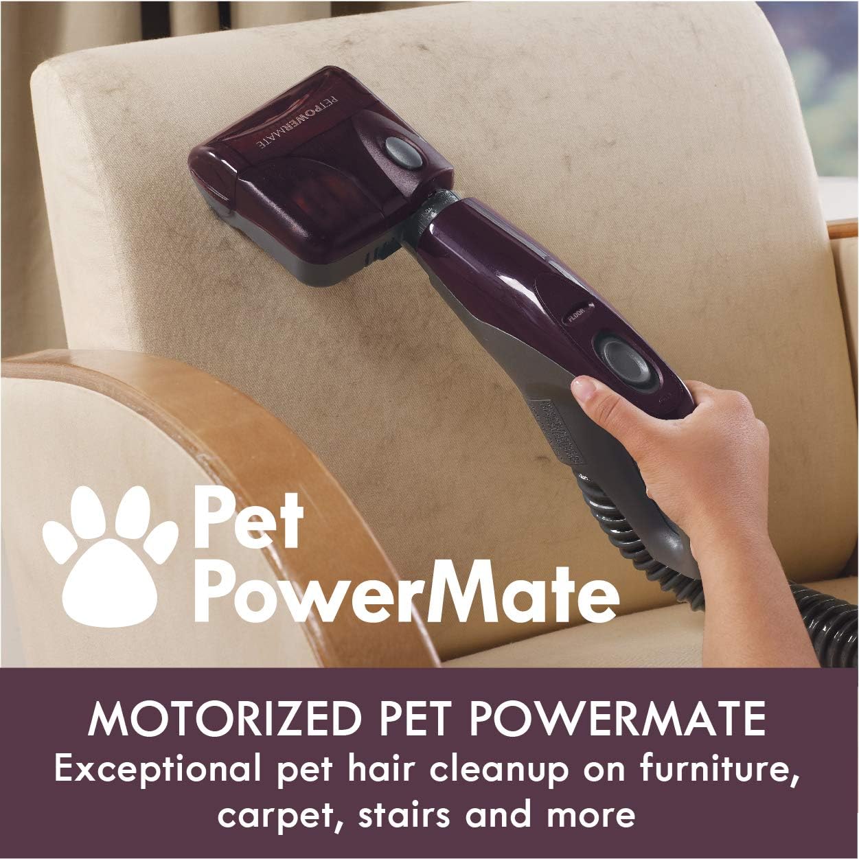 Kenmore shops Friendly Lightweight Bagless Compact Canister Vacuum with Pet Powermate