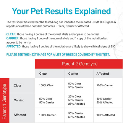 AffinityDNA Dog Exercise Induced Collapse (EIC) DNA Test | Home Sample Collection Kit for 1 Canine | EIC Testing for Your Puppy