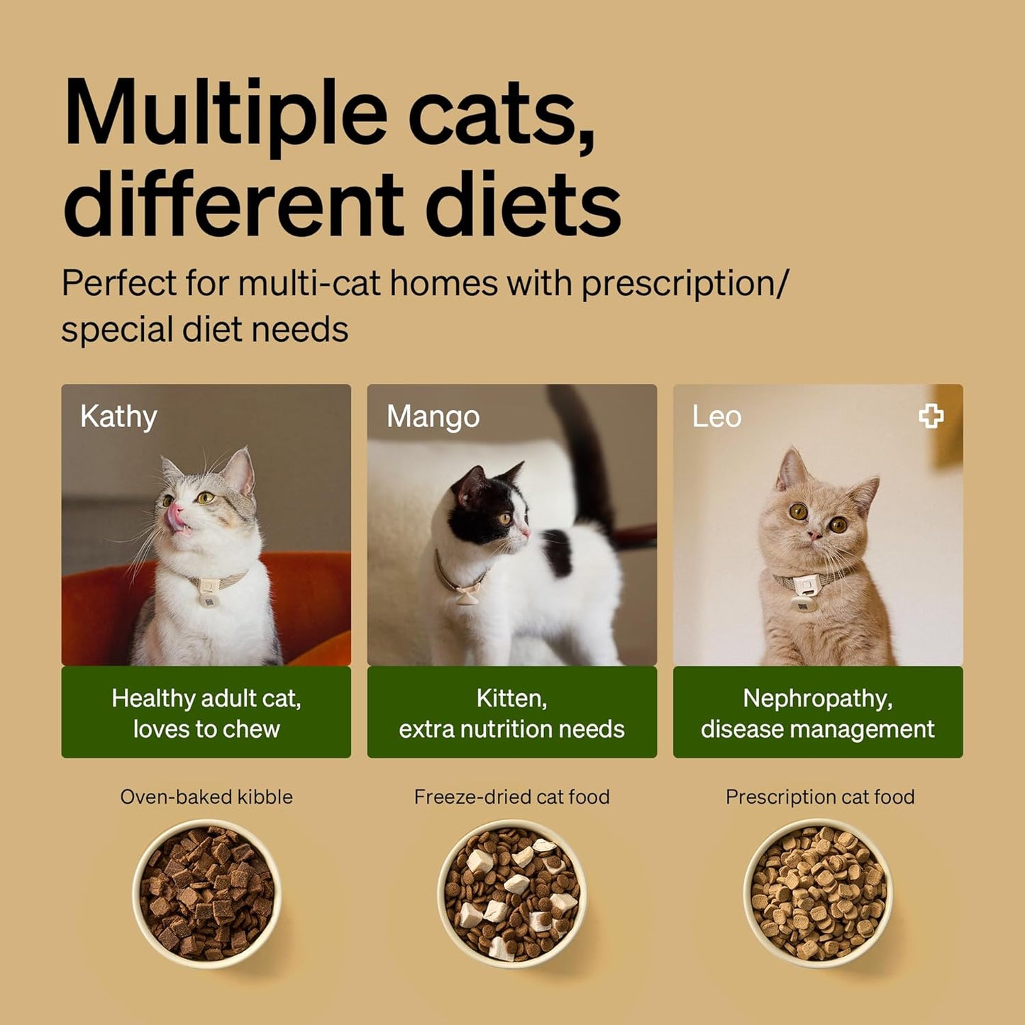 PETLIBRO RFID Automatic Cat Feeder & Water Fountain – Collar Tag Activated, Wi-Fi Programmable Combo with Cat Recognition & Diet Tracking, Personalized Feeding & Fresh Water for Multi-Pet Homes