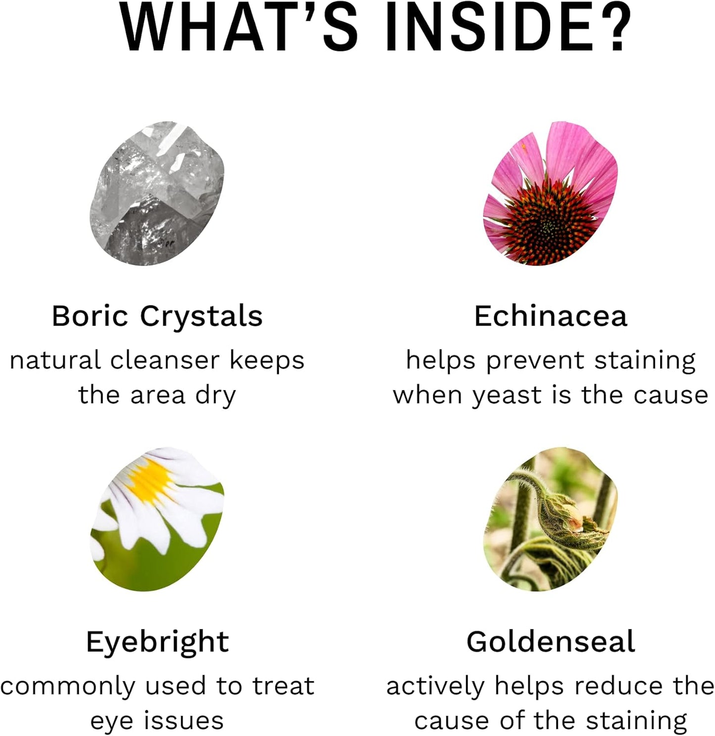 Eye Envy Tear Stain Remover Powder for Dogs and Cats. 100% Natural, Safe.Made in USA.0.5oz