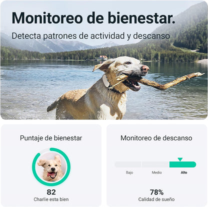 Tractive GPS Tracker for Dogs - Waterproof, GPS Location & Smart Pet Activity Tracker
