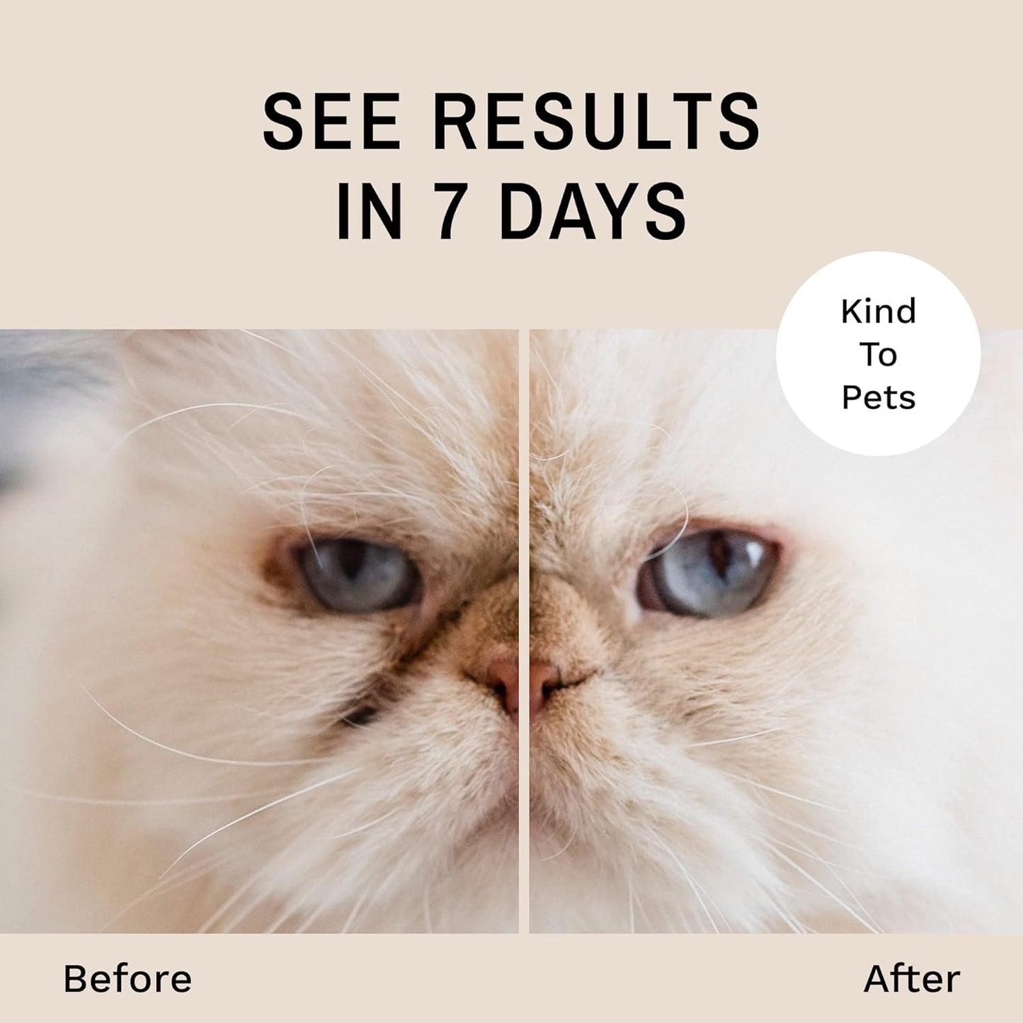 Eye Envy Tear Stain Remover Powder for Dogs and Cats. 100% Natural, Safe. Apply Around Eyes. Absorbs and Repels Tears. Keeps Area Dry.Made in The USA (2.5 oz)