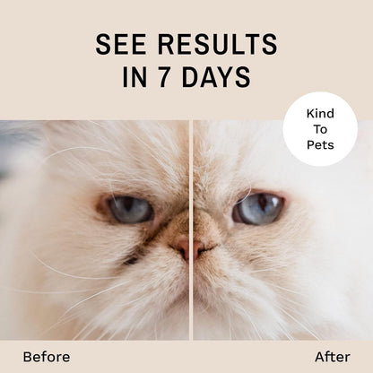 Eye Envy Tear Stain Remover Powder for Dogs and Cats. 100% Natural, Safe. Apply Around Eyes. Absorbs and Repels Tears. Keeps Area Dry.Made in The USA (2.5 oz)