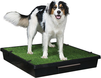 Large Portable Toilet for Dogs and Pets