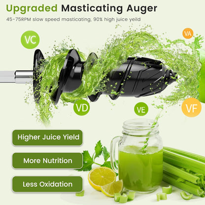 Keenray Cold Press Juicer, Masticating Juicer Machines, Celery Juicer with Quiet Motor Reverse Function, High Juice Yield Slow Juice Extractor for Vegetable and Fruit, Black, EL20