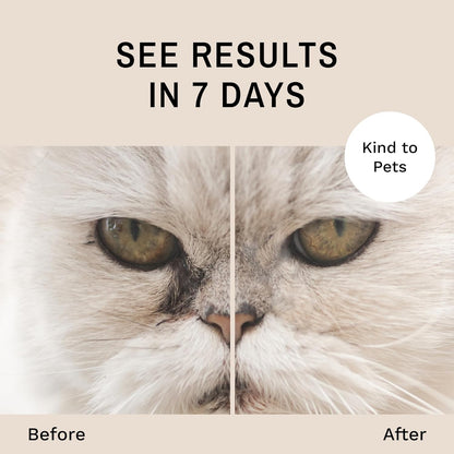 Eye Envy Cat Tear Stain Remover Starter Kit,MADE IN USA