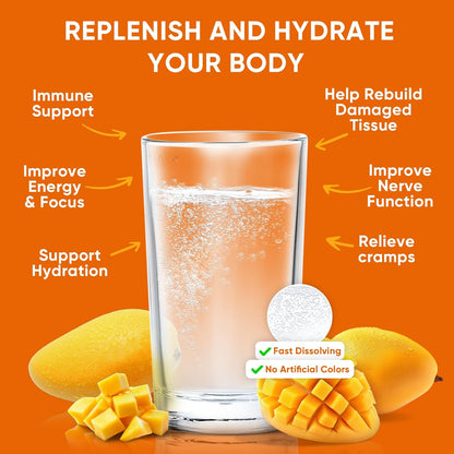 Venture Pal Sugar Free Electrolyte Powder Packets - Liquid Daily IV Hydration Packets, 16 Sticks