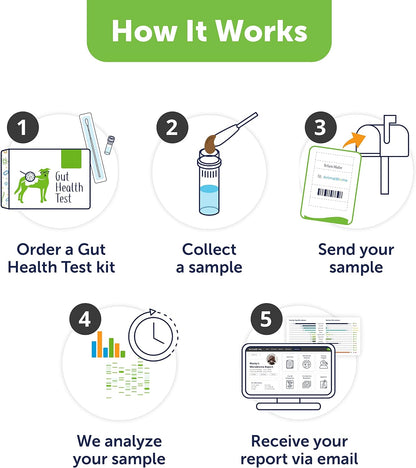 AnimalBiome Dog Probiotics Test Kit - Gut Microbiome Health Test - DoggyBiome