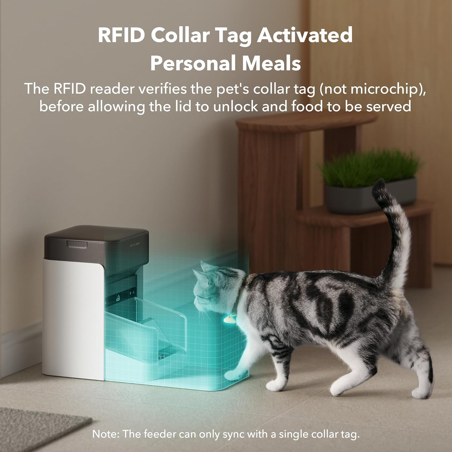 PETLIBRO RFID Automatic Cat Feeder 5G Wi Fi Automatic Pet Feeder 3L Shopperss