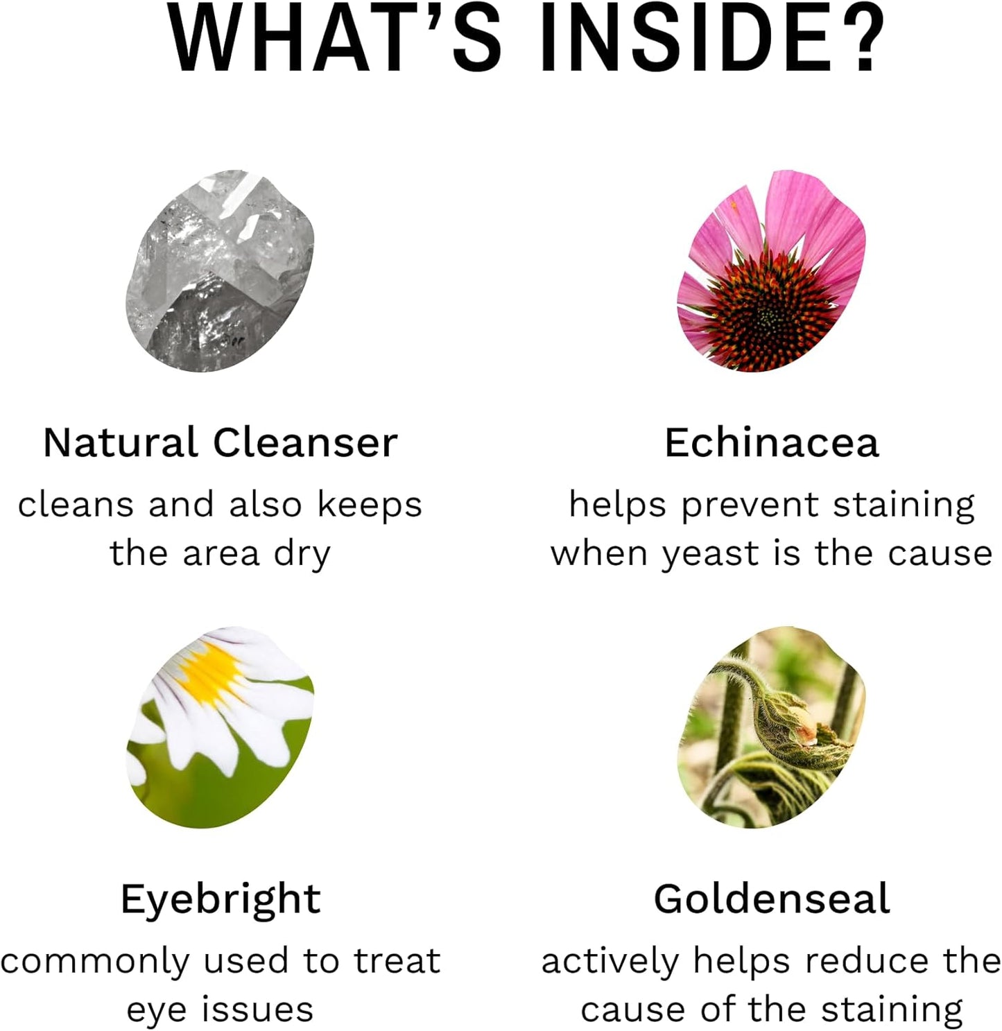 Eye Envy Tear Stain Remover Powder for Dogs and Cats. 100% Natural, Safe. Apply Around Eyes. Absorbs and Repels Tears. Keeps Area Dry.Made in The USA (2.5 oz)