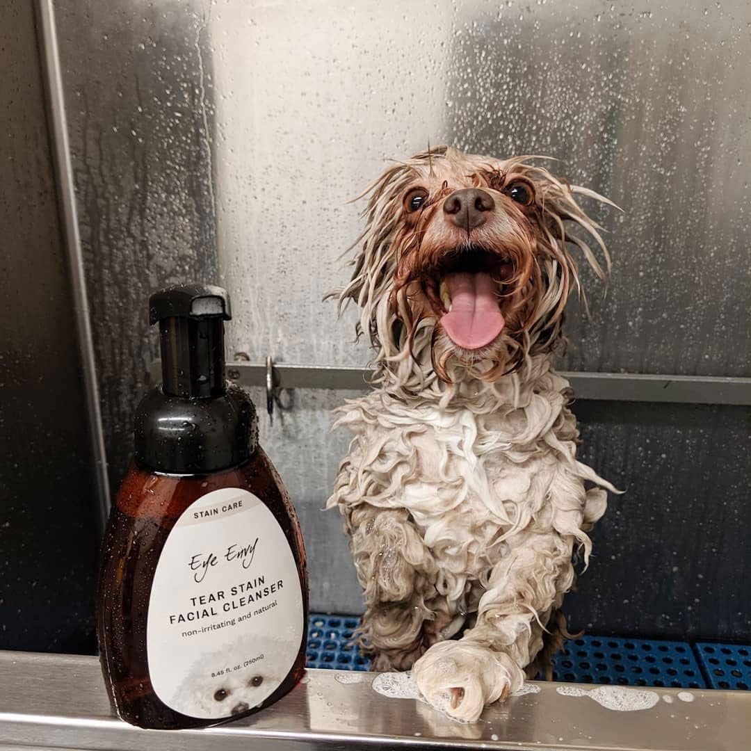 Eye Envy Tear Stain Facial Cleanser for Dogs and Cats.MADE IN USA