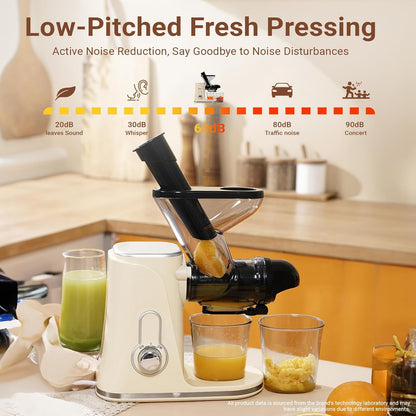Cold Press Juicer Machine, Slow Masticating Juicer with Reverse Function, 97% Juice Yield High Nutrient and Vitamin, Vegetable and Fruit Juice Extractor