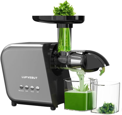 Slow Juicer Machine for Vegetables and Fruits 2023 Cold Press Masticating Juicer Extractor Celery Wheatgrass Leafy Greens Carrot Ginger BPA-Free Easy to Clean Juicer with Quiet Motor Reverse Function