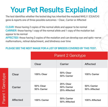 AffinityDNA Dog Collie Eye Anomaly Choroidal Hypoplasia (CEA/CH) DNA Test |